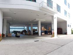 Loyang Industrial Estate (D17), Warehouse #209845851